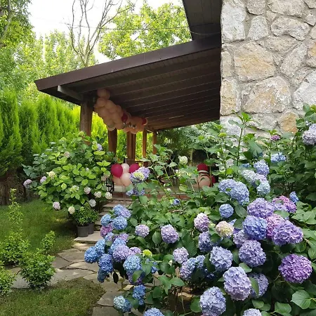 Natura Kirkpinar Villa Sapanca