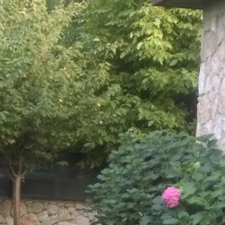 Natura Kirkpinar Sapanca